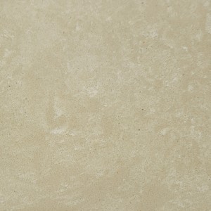 blank image Venus